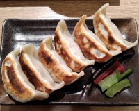 究極の餃子定食（ダンダダン）