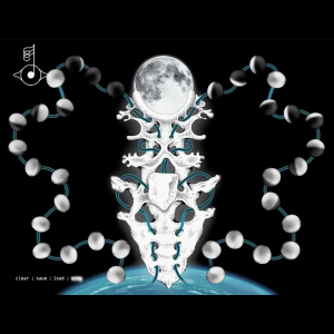 ビョークの「Biophilia」のアプリ版「Moon」