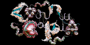 ビョークの「Cornucopia」のフォント