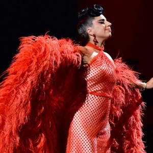 レディー・ガガの「Cheek to Cheek」のライブツアー「Cheek to Cheek Tour」