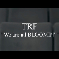 trfのMV「We are all BLOOMIN'」のタイトル